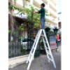 Thang nhôm chữ A 12 bậc Advindeq AV306